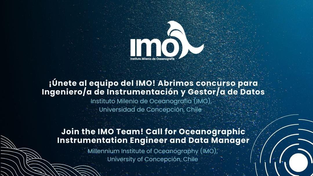 Concurso IMO: Ingeniero/a y Data Manager / IMO Call: Engineer & Data Manager